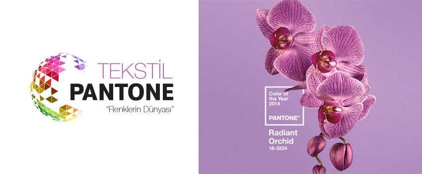 Color Of The Year