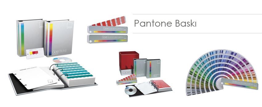 Pantone Baskı